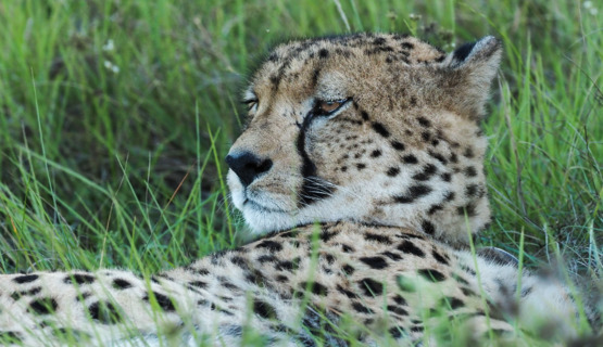 Phil Enjoying The Ride On Kariega Game Reserve