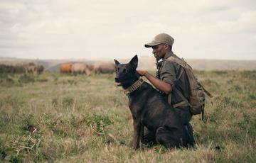 Kariega Game Reserve Anit Poaching K9 Unit
