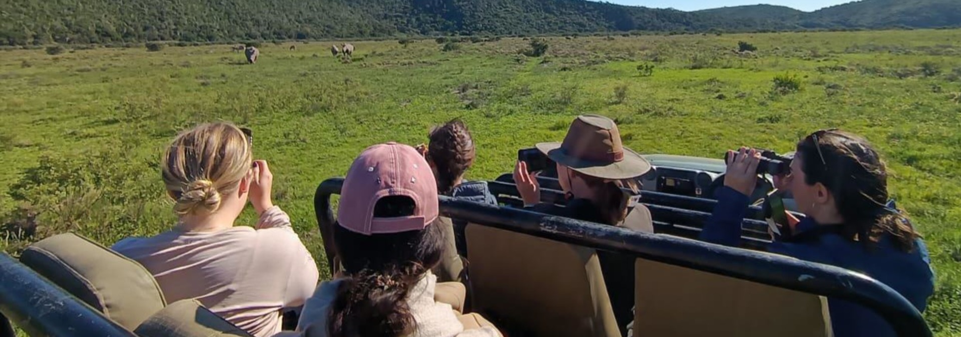 Voluneer Monitoring Rhino